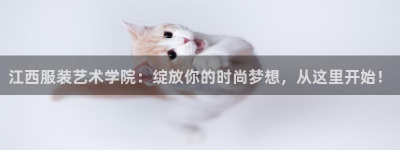 开丰娱乐登入