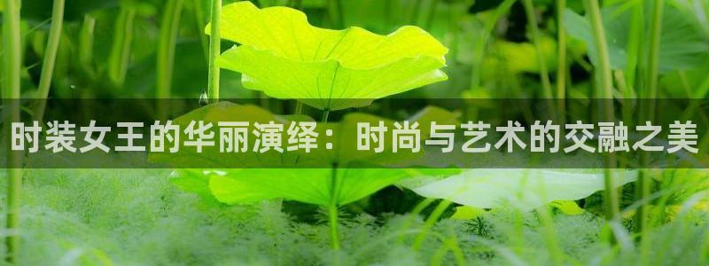 开丰娱乐姜333OO