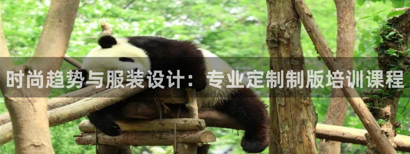 开丰娱乐平台官网网址
