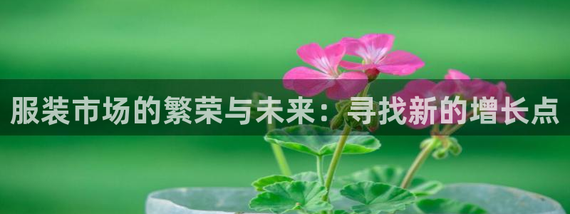 开丰娱乐开户