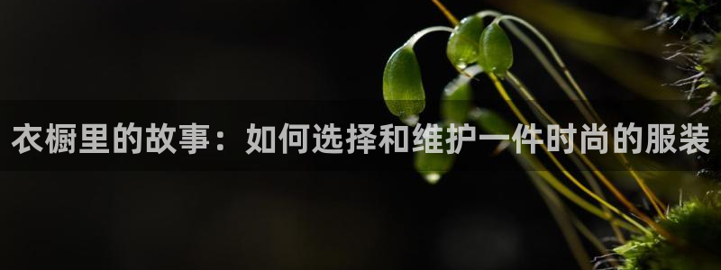 开丰娱乐登入地址在哪儿