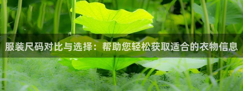开丰娱乐登陆地址