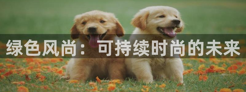 开丰娱乐怎么开转点