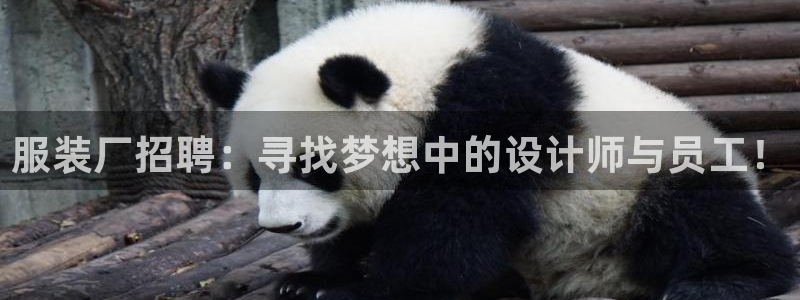 开丰娱乐官网电话
