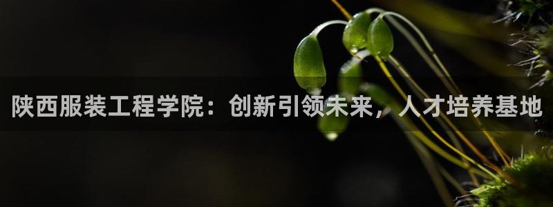 开丰娱乐app
