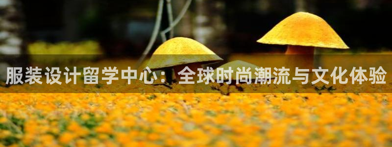 开丰娱乐注册登录不了