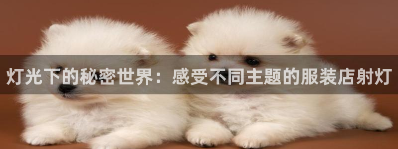 开丰娱乐姜333OO