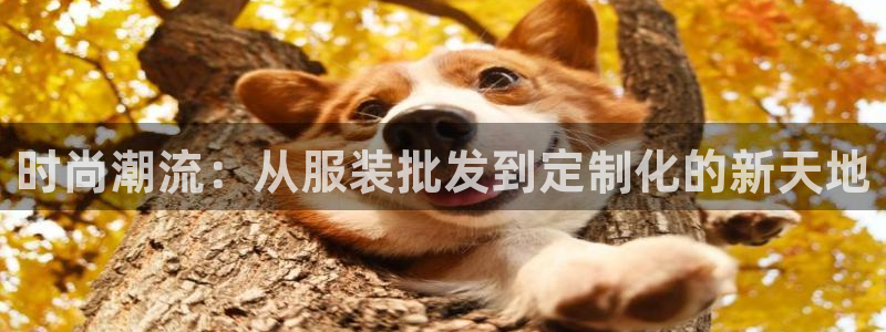 下载开丰娱乐