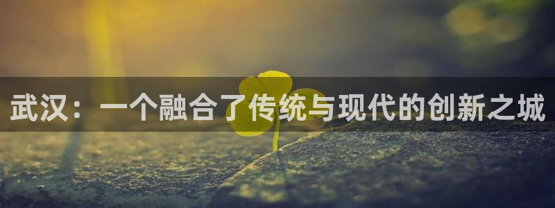开丰娱乐月