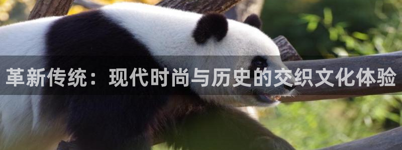 开丰娱乐月7O667：革新传统：现代时尚