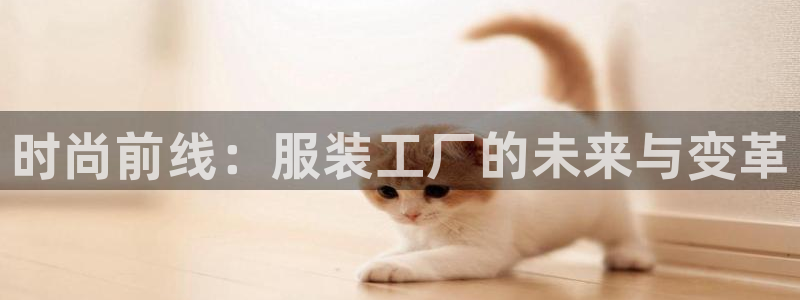 开丰娱乐怎么开转点