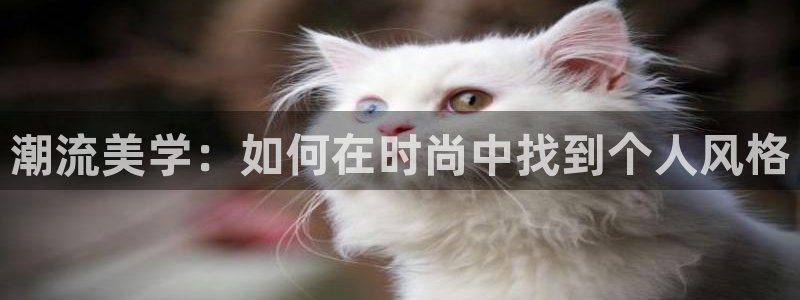 开丰娱乐平台地址