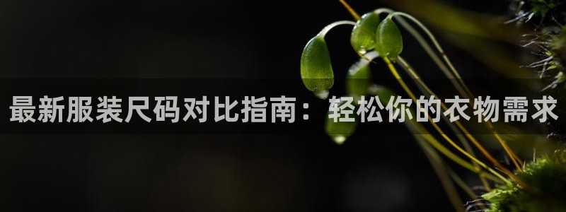 开丰娱乐除7O777