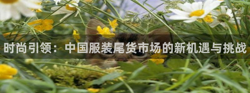 圩丰刚开的娱乐场所