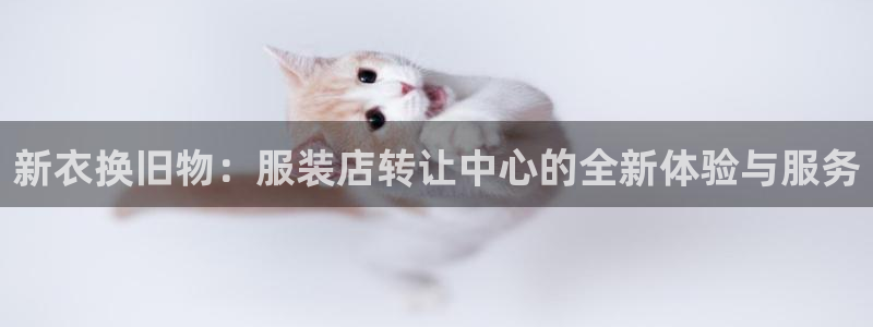 开丰娱乐不开了吗