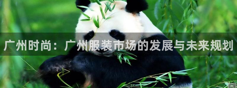 开丰娱乐平台官网登录