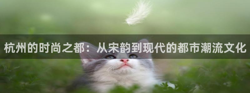 开丰娱乐后7O667