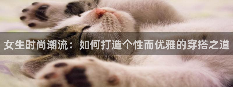 开丰娱乐左