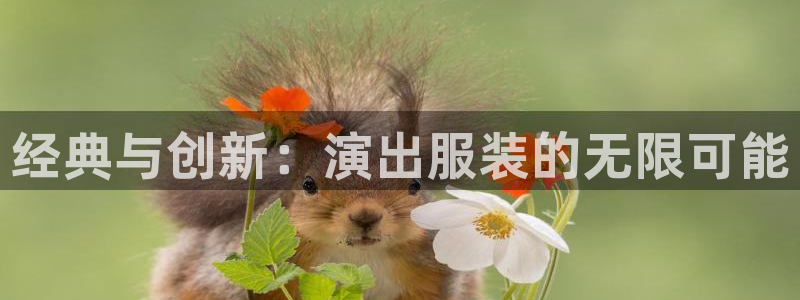 开丰娱乐平台注册