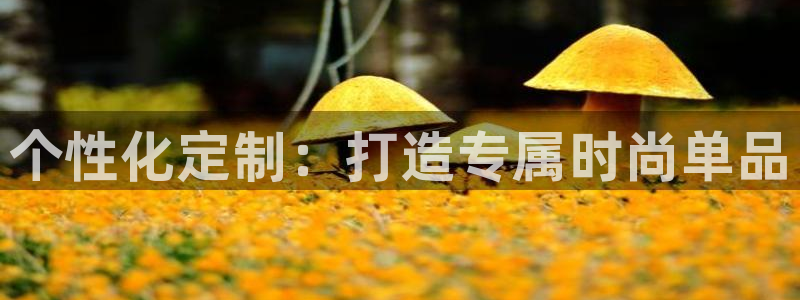 开丰娱乐最新活动