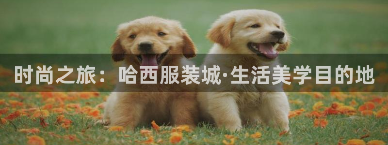 开丰娱乐平台地址电话