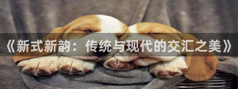 开丰娱乐更多平台