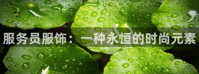 开丰娱乐不开了吗