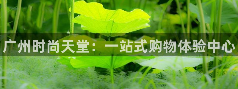 开丰娱乐与六七五一38