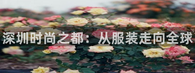开丰娱乐怎么样