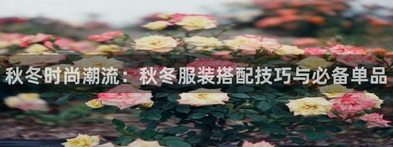 开丰娱乐注册系究耍333OO