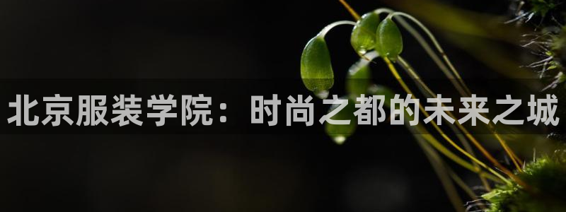 开丰娱乐怎么样