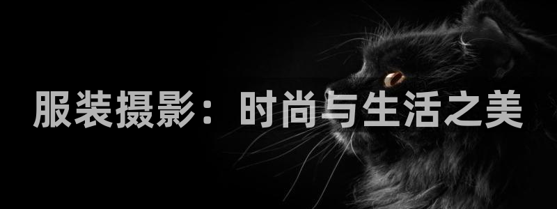 开丰娱乐登录地址入口