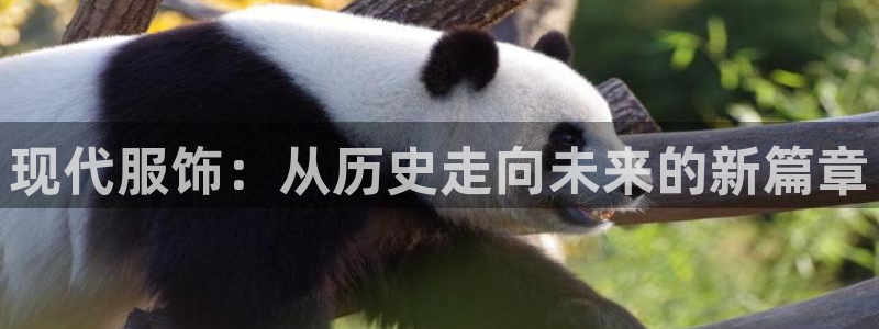 开丰娱乐主管家去判官333OO