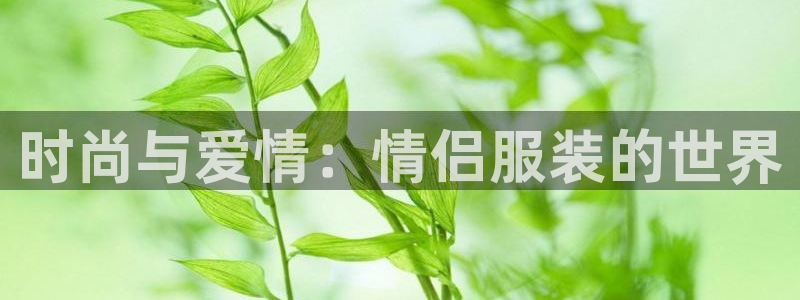 开丰娱乐平台官网登录