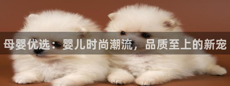 开丰娱乐平台地址查询