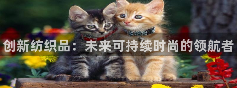 开丰娱乐靠谱吗