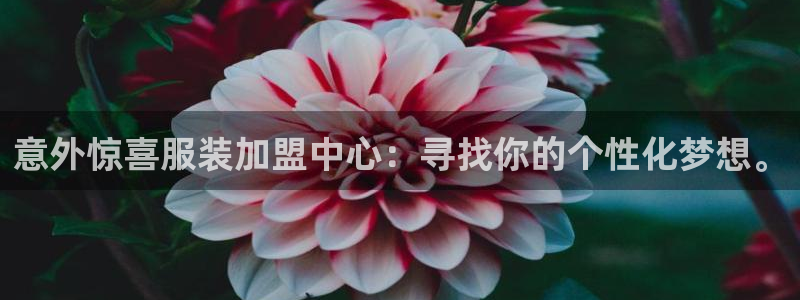 开丰娱乐登录官方网站