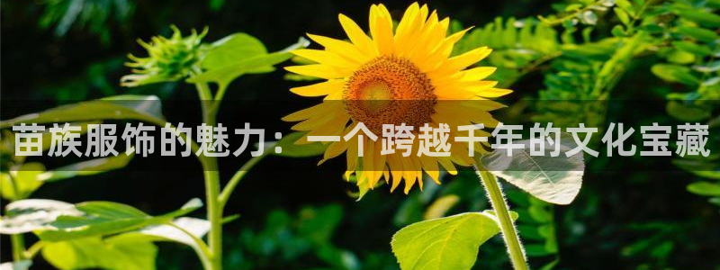 开丰娱乐主管家去判官333OO