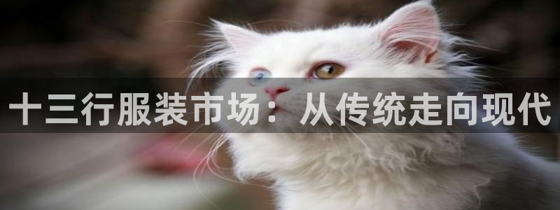 开丰娱乐注册登录