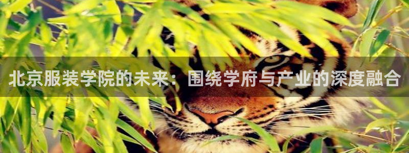开丰娱乐网站官网