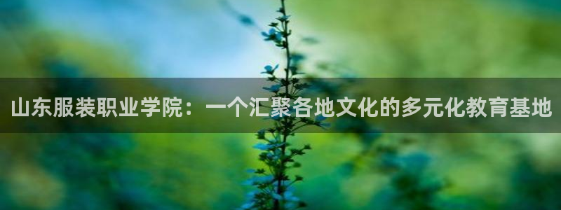开丰娱乐开户