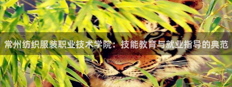 开丰娱乐平台注册