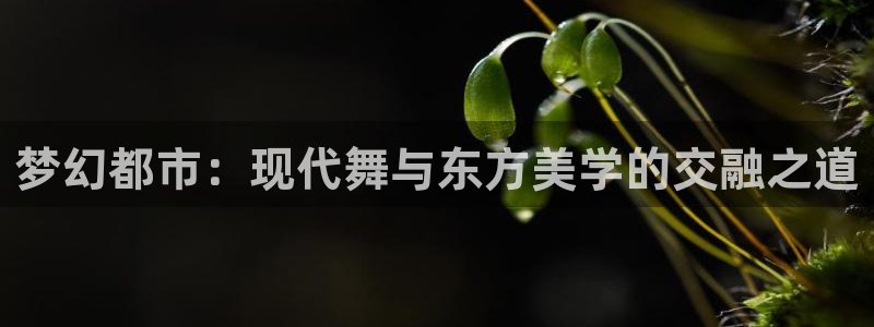 开丰娱乐登录平台