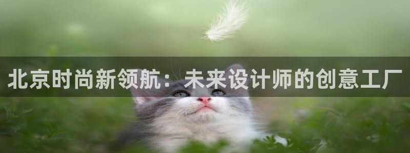 开丰娱乐注册资金多少