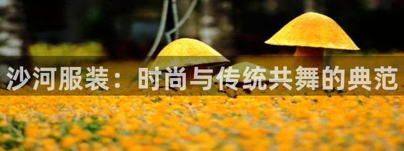 开丰娱乐主管家去判官333OO
