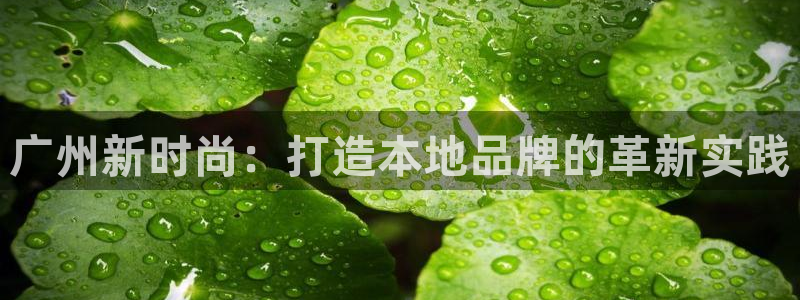 开丰娱乐 赢咖一